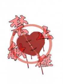 禁止触碰
