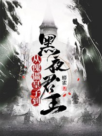 从傀儡皇子到黑夜君王